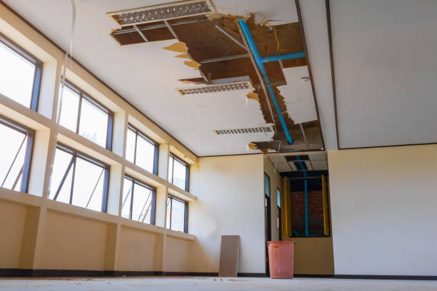 Best Water damage restoration near me  in Pine Lakes, FL