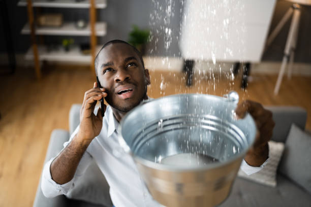  Pine Lakes, FL Water damage restoration Pros