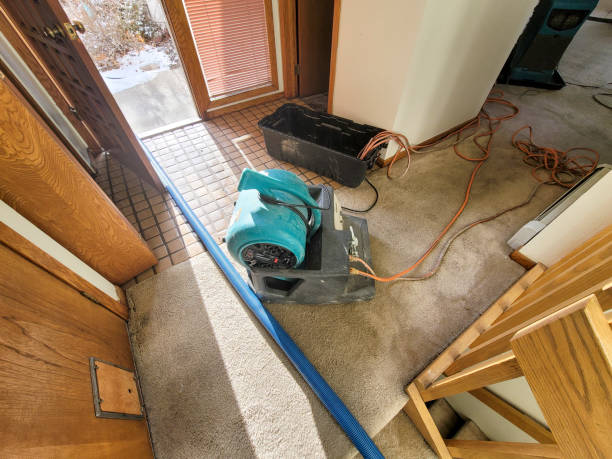 Local water damage restoration in FL