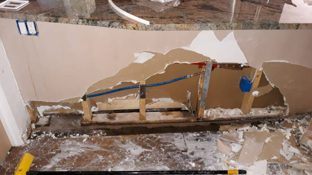 Best 24/7 water damage repair  in Pine Lakes, FL