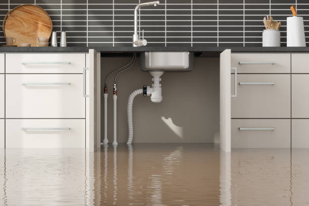 Best Flooded house restoration  in Pine Lakes, FL